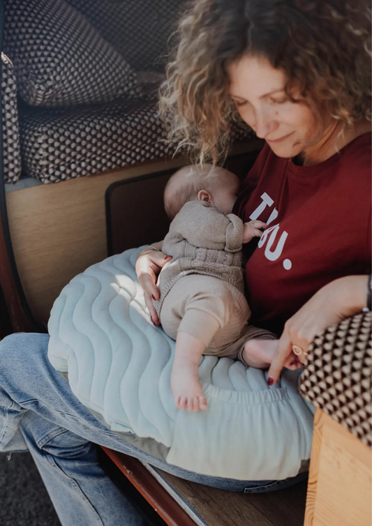 Travel Nursing Pillow